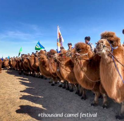 Mongolian Camel Bell Ringtone